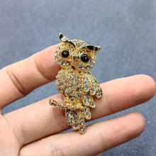  owl brooch